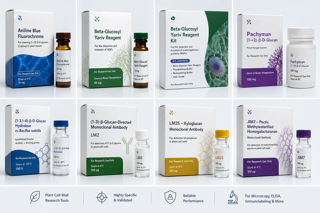 [400-4] (1-4) -beta-mannan-directed monoclonal antibody